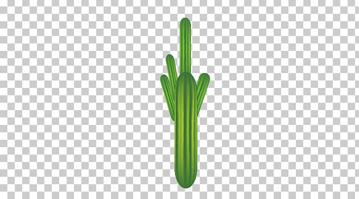 Green Pattern PNG, Clipart, Angle, Cactus, Cactus Cartoon, Cactus Flower, Cactus Vector Free PNG Download