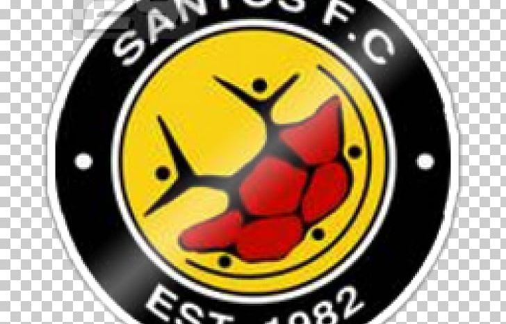 Santos F.C. SAFA Second Division National First Division Chief Santos Cape Town PNG, Clipart, Brand, Cape Town, Football, Football Team, Namibia Premier League Free PNG Download