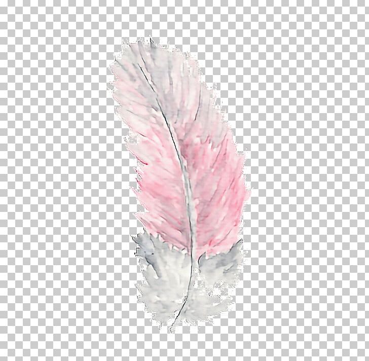 Watercolor Painting Feather Printmaking PNG, Clipart, Art, Art Museum, Boho, Color, Colorful Free PNG Download