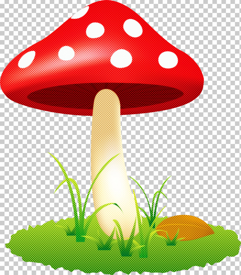 Mushroom PNG, Clipart, Agaric, Agaricomycetes, Aquarium Decor, Fungus, Mushroom Free PNG Download