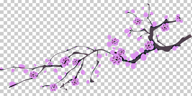 Cherry Blossom PNG, Clipart, Blossom, Branch, Cherry Blossom, Flower, Lilac Free PNG Download