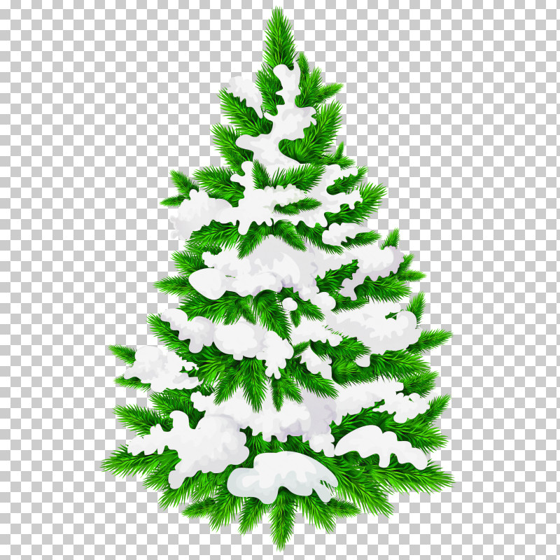 Christmas Tree PNG, Clipart, American Larch, Balsam Fir, Canadian Fir, Christmas, Christmas Decoration Free PNG Download