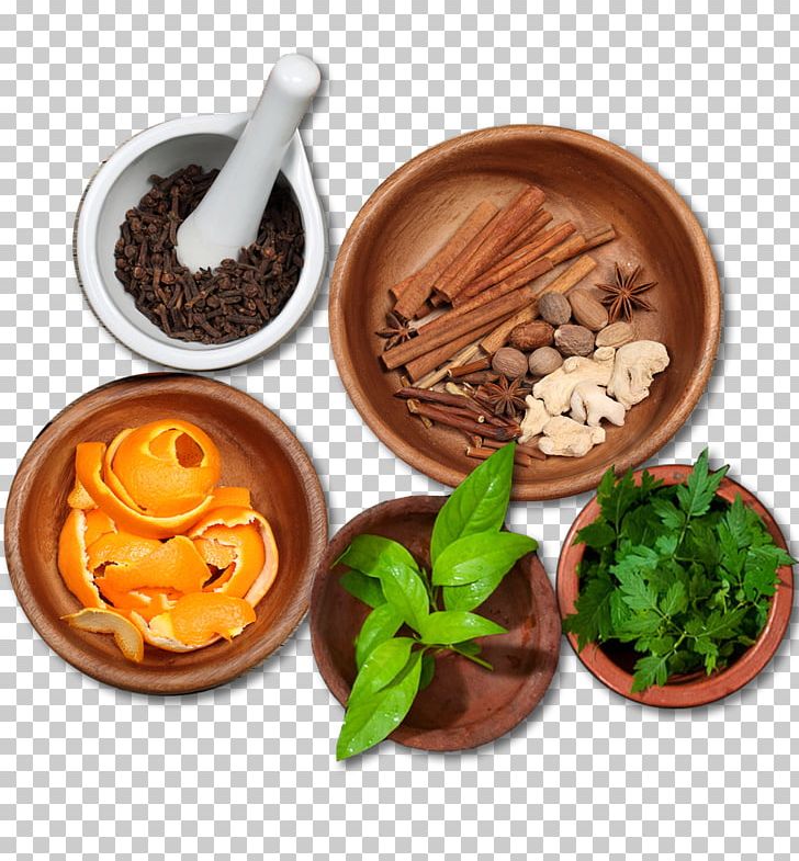 Ayurveda Ayurvedic Healing Medicine Therapy Health Care PNG, Clipart, Alternative Health Services, Ayurveda, Ayurvedic, Ayurvedic Healing, Detoxification Free PNG Download