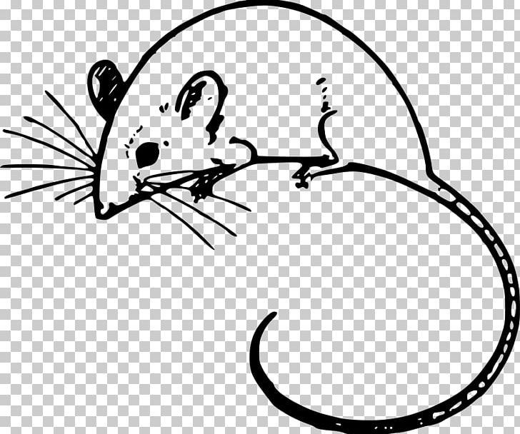 Computer Mouse Arc Mouse Microsoft Mouse PNG, Clipart, Arc Mouse, Art, Artwork, Black, Black And White Free PNG Download