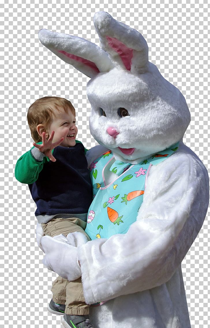 Easter Bunny Rabbit Egg Hunt PNG, Clipart, Animals, Basket, Bunny Rabbit, Christmas, Costume Free PNG Download