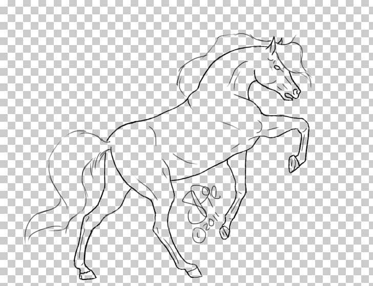 Mane Foal Pony Halter Mustang PNG, Clipart, Animal Figure, Arm, Artwork, Black And White, Bridle Free PNG Download
