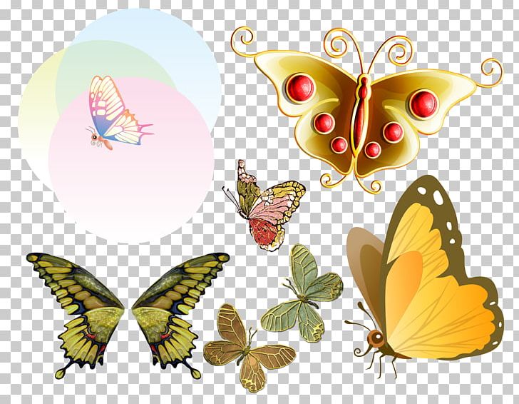 Butterfly PNG, Clipart, Brush, Brush Footed Butterfly, Buterfly, Butterflies And Moths, Butterfly Free PNG Download