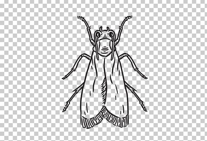 Insect Line Art Cartoon Sketch PNG, Clipart, Animal, Arthropod, Artwork, Black And White, Cartoon Free PNG Download