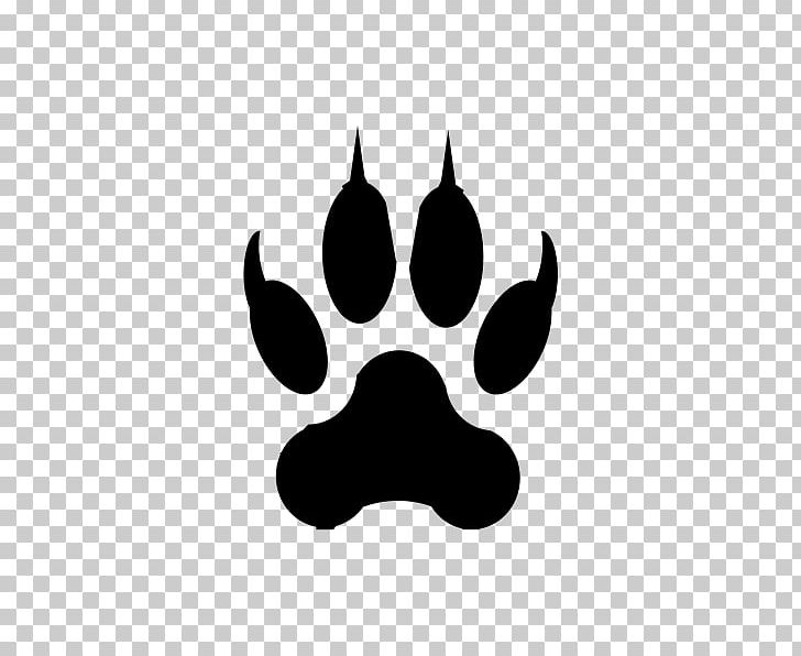 Lion Liger Tiger Cougar Cat PNG, Clipart, Animal, Animals, Animal Track, Big Cat, Black Free PNG Download