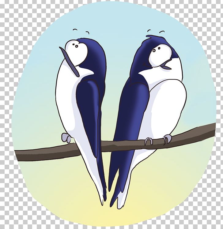 Penguin Beak Cartoon Macaw PNG, Clipart, Animals, Animated Cartoon, Beak, Bird, Cartoon Free PNG Download