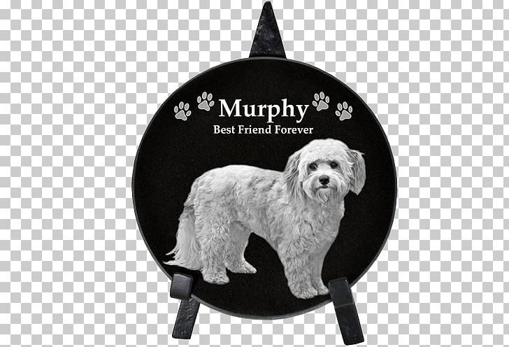 Schnoodle Cockapoo Commemorative Plaque Dog Breed Memorial PNG, Clipart, Black Marble, Call Us, Carnivoran, Christmas Ornament, Circle Free PNG Download