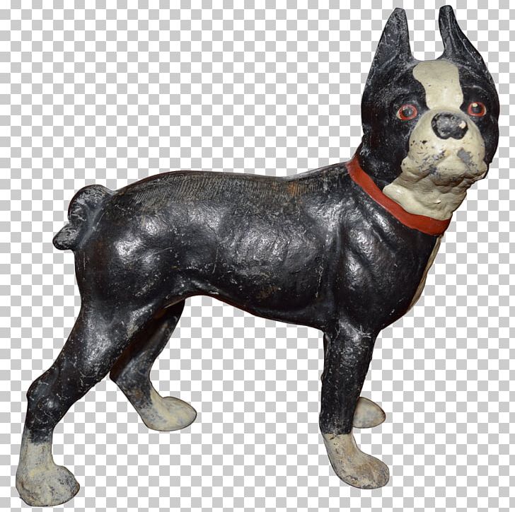 Boston Terrier Dog Breed Non-sporting Group Breed Group (dog) Snout PNG, Clipart, Boston, Boston Terrier, Breed, Breed Group Dog, Carnivoran Free PNG Download