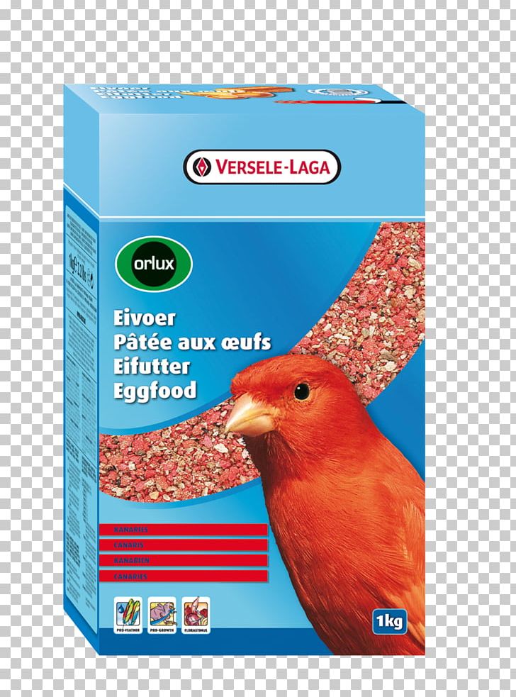 Egg Food Bird Red Factor Canary Parrot PNG, Clipart, Atlantic Canary, Beak, Bird, Bird Food, Bird Supply Free PNG Download