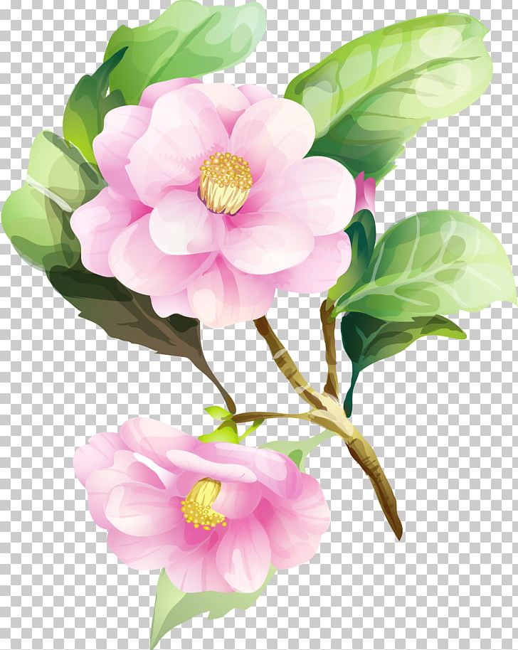 Flower Watercolor Painting Drawing Floral Design PNG, Clipart, Art, Branch, Camellia, Drawing, Encapsulated Postscript Free PNG Download