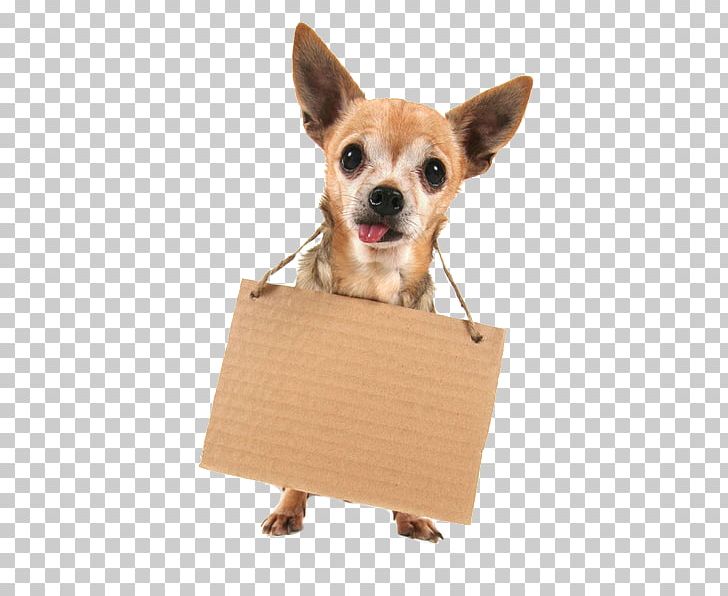 French Bulldog Puppy Stock Photography Stock.xchng Terrier PNG, Clipart, Animals, Bark, Box, Cardboard Box, Carnivoran Free PNG Download