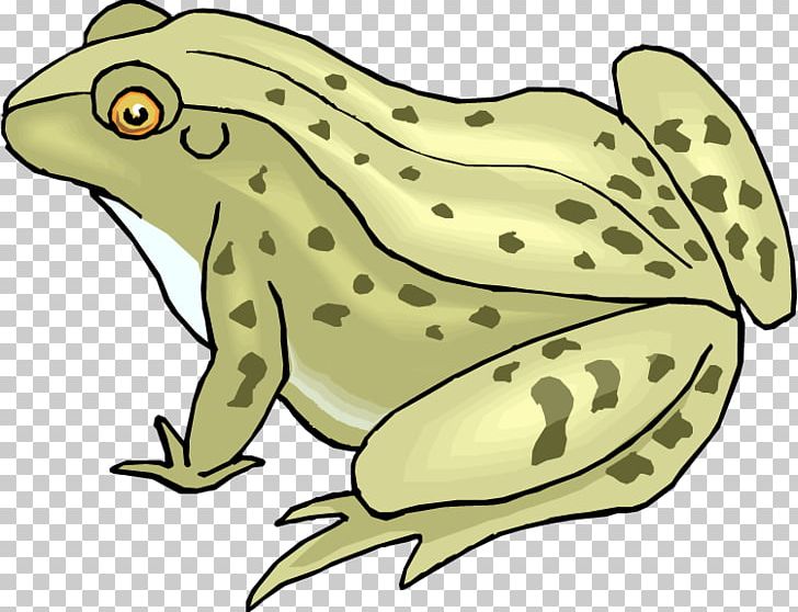 Frog And Toad PNG, Clipart, Amphibian, Animal Figure, Animals, Artwork, Cartoon Free PNG Download