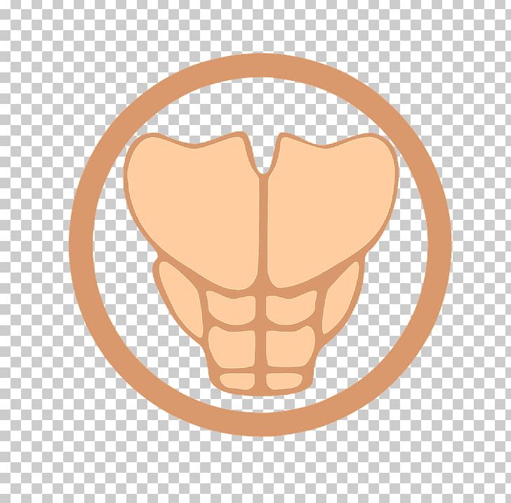 Rectus Abdominis Muscle Abdominal Exercise PNG, Clipart, Abdomen, Abdominal Exercise, Abs, Clip Art, Ear Free PNG Download
