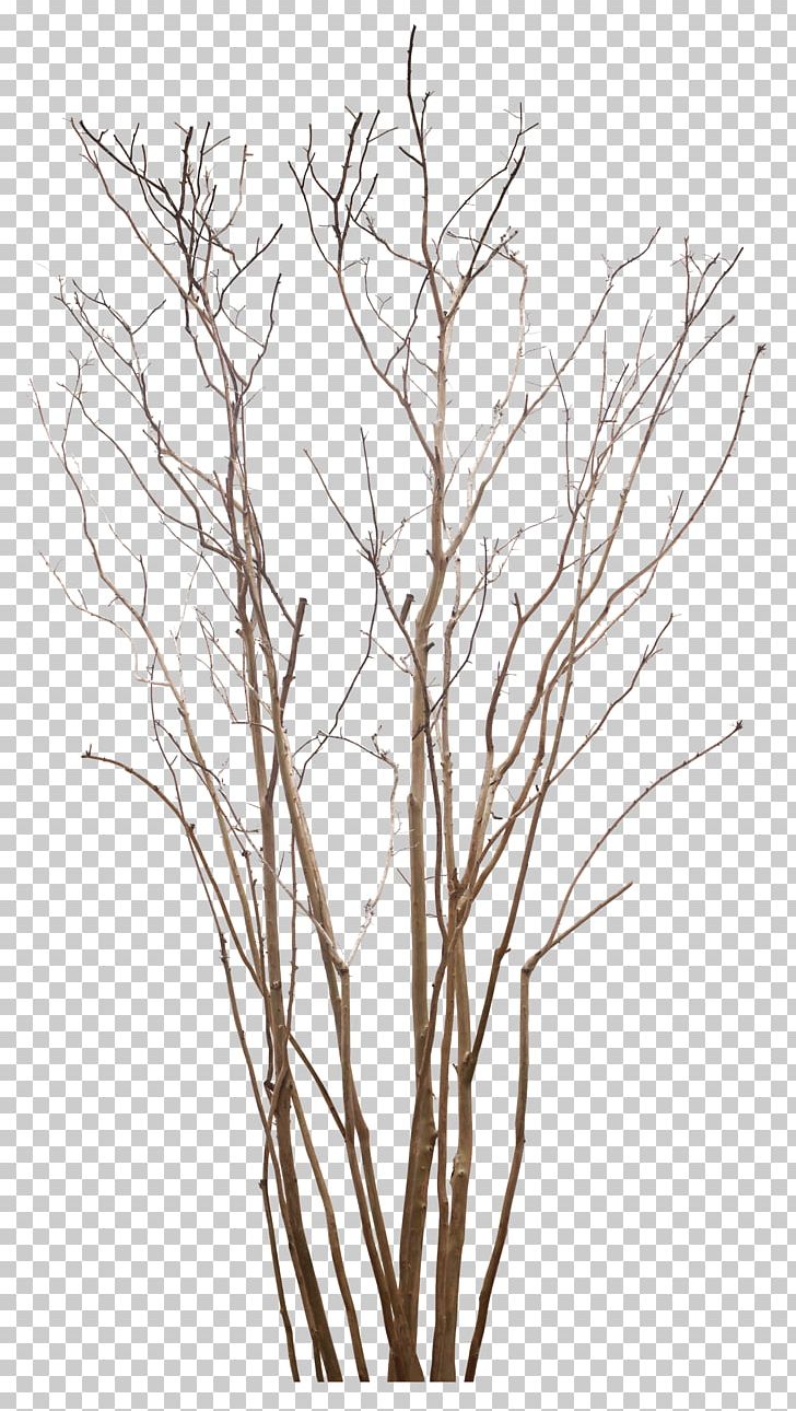 Tree Art PNG, Clipart, Art, Black And White, Branch, Deviantart, Drawing Free PNG Download