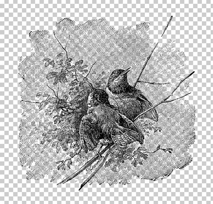 Twig Bird Nest Drawing Fauna PNG, Clipart, Animals, Art, Bird, Bird Nest, Black And White Free PNG Download