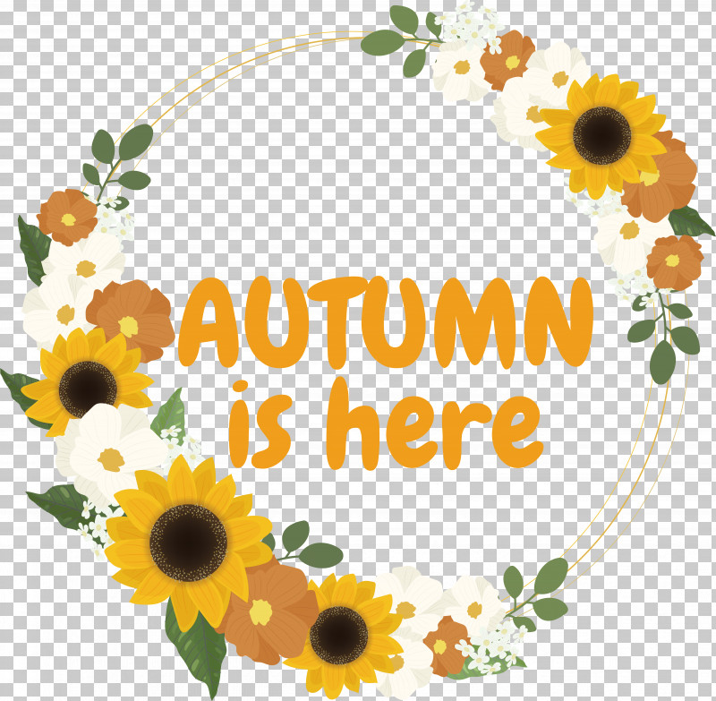 Floral Design PNG, Clipart, Cake, Cake Icing, Common Sunflower, Cupcake, Floral Design Free PNG Download