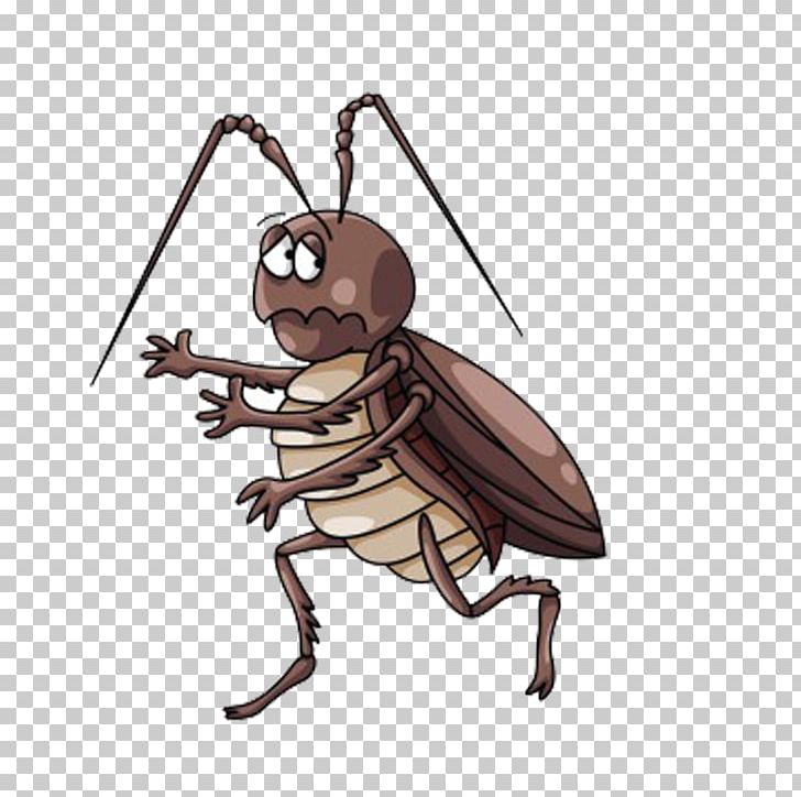 Cockroach Cartoon PNG, Clipart, American Cockroach, Animals, Arthropod, Cockroaches, Drawing Free PNG Download
