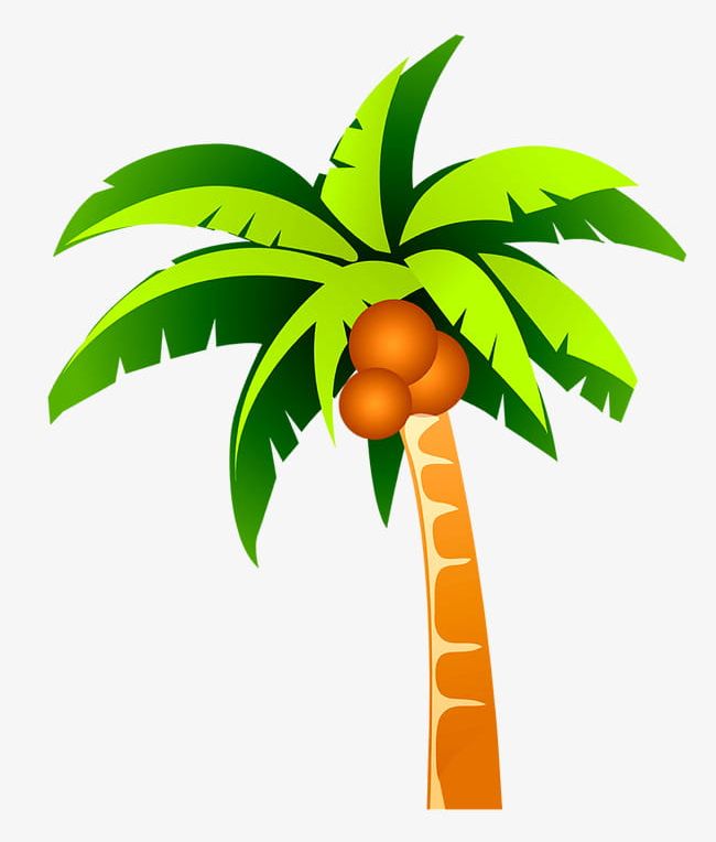 Coconut Tree Cartoon Map PNG, Clipart, Cartoon Clipart, Coconut Clipart, Coconut Palm Tree, Design, Download Free PNG Download