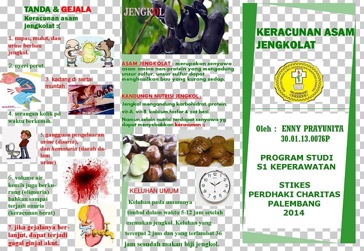Djenkolic Acid Flyer Disease Hematuria PNG, Clipart, Acid, Advertising, Brochure, Chromosome, Cri Du Chat Syndrome Free PNG Download