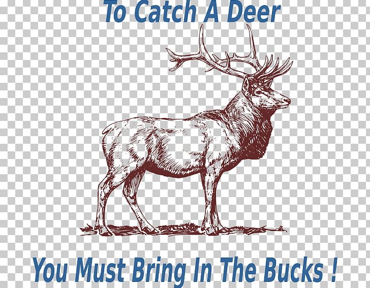 Elk Deer Drawing Pronghorn PNG, Clipart, Animals, Antler, Bucks, Deer, Drawing Free PNG Download