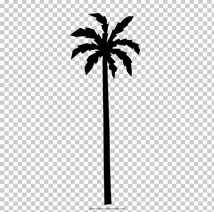 Asian Palmyra Palm Drawing Sunglasses Coloring Book Niumba PNG, Clipart, Arecaceae, Arecales, Asian Palmyra Palm, Black And White, Borassus Flabellifer Free PNG Download