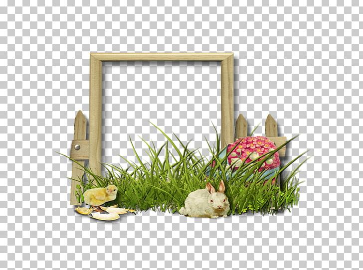 Floral Design Frames Grasses Flower PNG, Clipart, Adorn, Family, Floral Design, Flower, Grass Free PNG Download