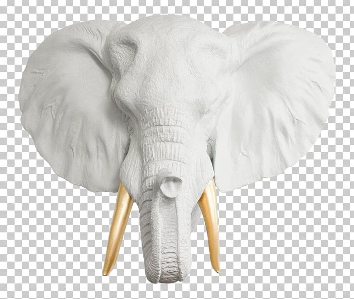Indian Elephant African Elephant Taxidermy Ceramic PNG, Clipart, African Elephant, Animal, Animals, Ceramic, Charmer Free PNG Download