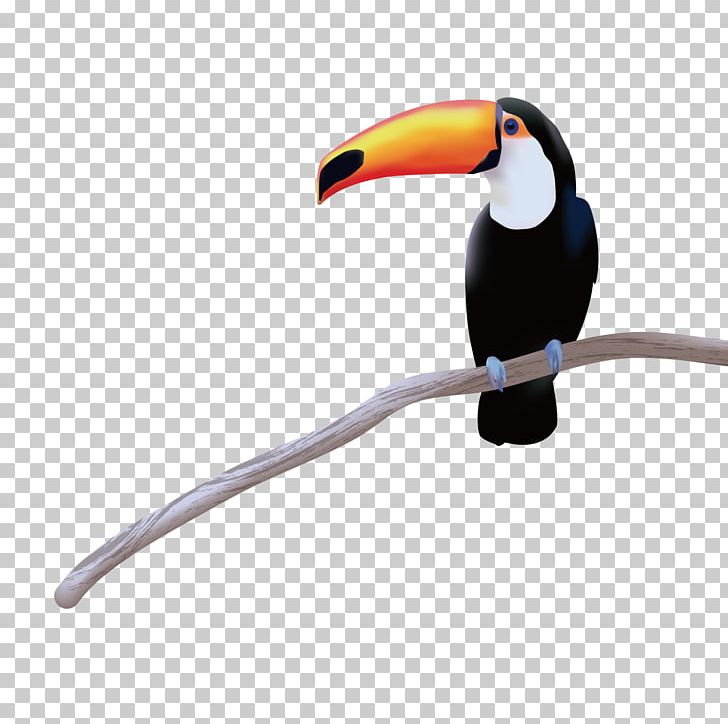 Toucan Bird PNG, Clipart, Adobe Illustrator, Animal, Animals, Beak, Big Free PNG Download