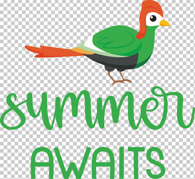 Summer Awaits Summer Summer Vacation PNG, Clipart, Beak, Biology, Birds, Ducks, Grey Geese Free PNG Download