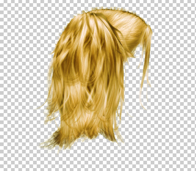 Hair Blond Hairstyle Wig Long Hair PNG, Clipart, Blond, Costume, Hair, Hair Coloring, Hairstyle Free PNG Download