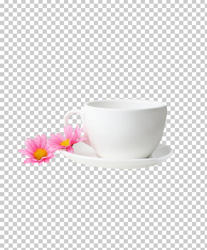 Coffee Cup Teacup PNG, Clipart, Beer Mug, Beer Mugs, Blossom, Ceramic, Coffee Free PNG Download