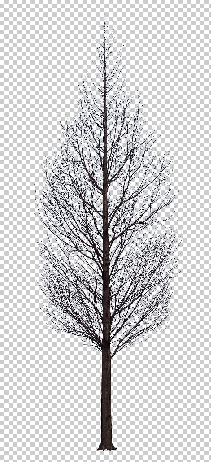Artificial Christmas Tree Light Branch PNG, Clipart, Architectural Rendering, Artificial Christmas Tree, Black And White, Branch, Christmas Tree Free PNG Download
