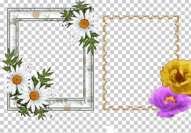 Floral Design Frames Cut Flowers Pattern PNG, Clipart, Blog, Cut Flowers, Decor, Desktop Wallpaper, Film Frame Free PNG Download
