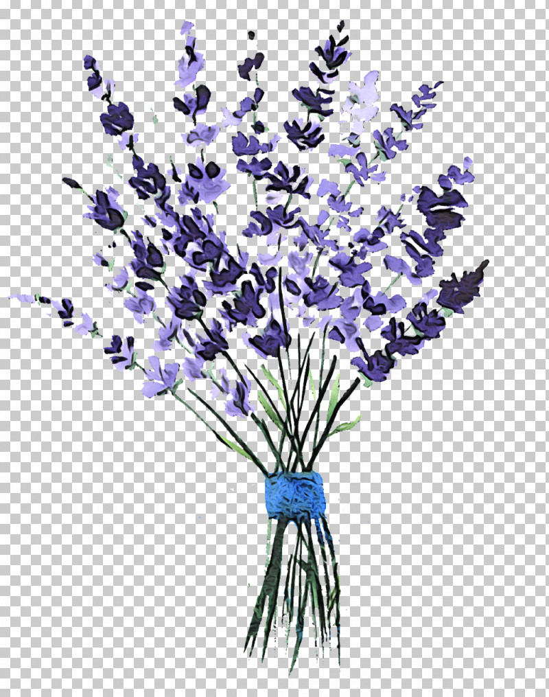 Lavender PNG, Clipart, Bouquet, Cut Flowers, English Lavender, Flower, Lavender Free PNG Download