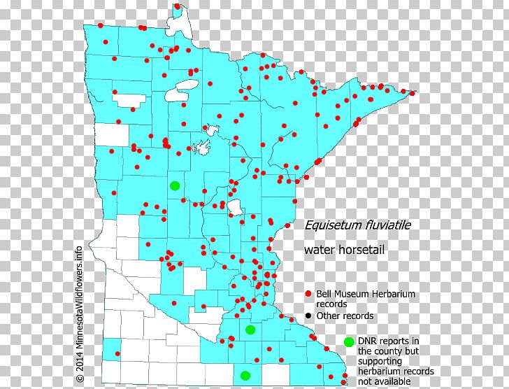 Line Point Map Organism Tuberculosis PNG, Clipart, Area, Art, Horsetail, Line, Map Free PNG Download