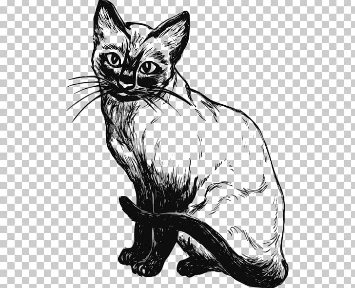 Siamese Cat Kitten Sphynx Cat Drawing PNG, Clipart, Black And White, Black Cat, Carnivoran, Cat, Cat Like Mammal Free PNG Download