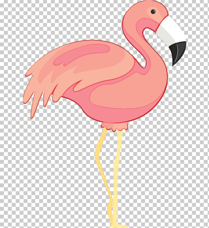 Chicken Flamingo M Beak Pink M Chicken PNG, Clipart, Beak, Chicken, Flamingo M, Paint, Pink M Free PNG Download