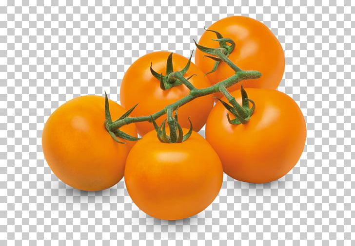 Cherry Tomato Heirloom Tomato Vegetable Orange Variety PNG, Clipart, Beefsteak Tomato, Bush Tomato, Cherry Tomato, Clementine, Cultivar Free PNG Download