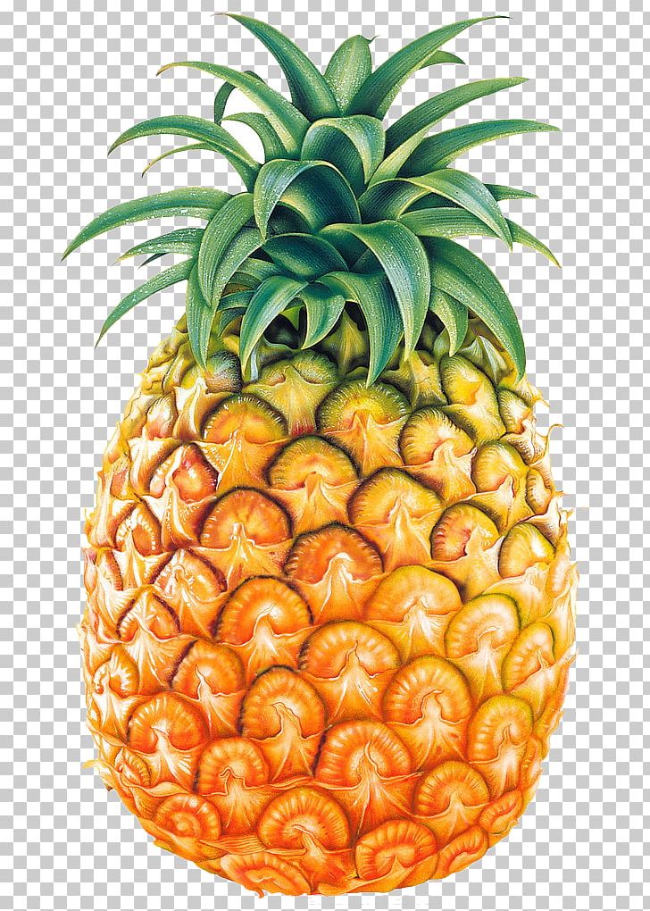 Pineapple PNG, Clipart, Apple Fruit, Bromeliaceae, Chunk, Computer Icons, Download Free PNG Download