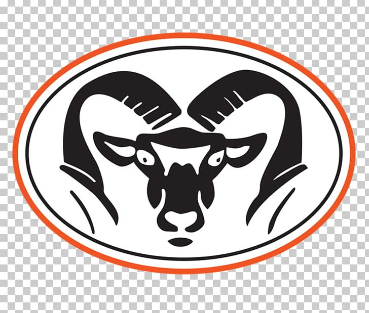 Rockford High School Coach Sport PNG, Clipart, Athlete, Black And White, Carnivoran, Coach, Education Free PNG Download