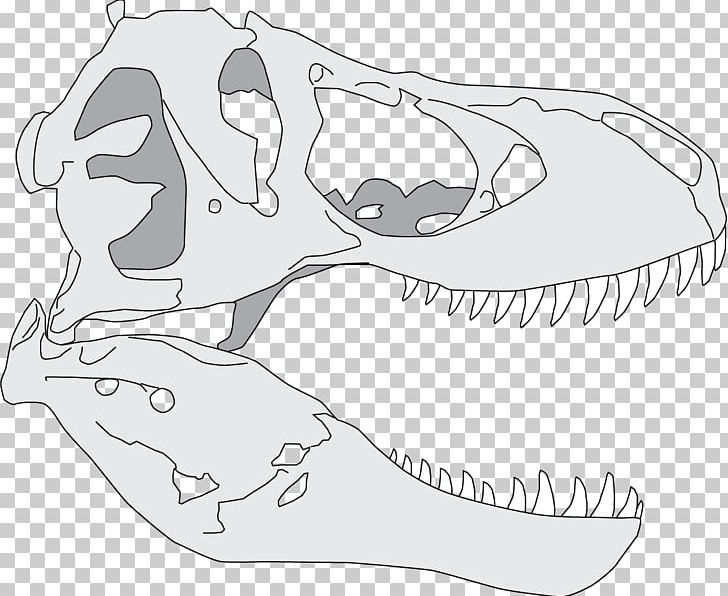Tyrannosaurus Giganotosaurus Dinosaur Reptile Drawing PNG, Clipart, Animal, Area, Art, Artwork, Black And White Free PNG Download
