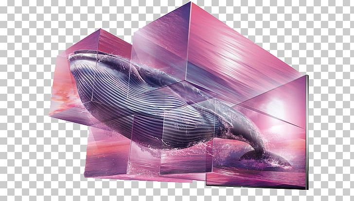Advertising Art Director Creativity Television PNG, Clipart, Animals, Art, Blue Whale, Brand, Cartoon Whale Free PNG Download