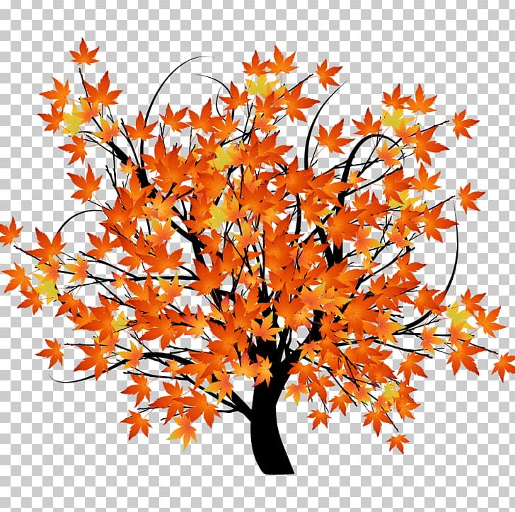 Autumn Leaf Color Tree Maple PNG, Clipart, Branch, Christmas Tree, Family Tree, Flower, Flowers Free PNG Download