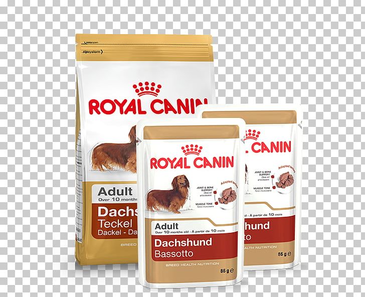 English Cocker Spaniel Labrador Retriever Cat Dog Food Royal Canin PNG, Clipart, Animals, Cat, Cat Food, Dog, Dog Breed Free PNG Download