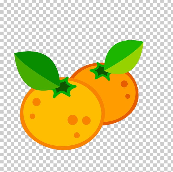 Mandarin Orange Juice Fruit PNG, Clipart, Adobe Illustrator, Apple, Auglis, Cartoon, Citrus Free PNG Download
