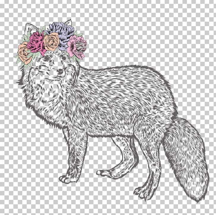 Whiskers Drawing Fox Illustration PNG, Clipart, Animal, Animals, Art, Carnivoran, Cartoon Free PNG Download